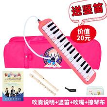 奇美 口风琴37键32键儿童中小学生初学课堂教学附教材吹管初学者入门比赛演奏乐器 32键小公主-粉色(软包)+竖笛