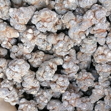 云南文山正宗春三七头(田七头) 100克 250克 500克可代切片 20头带剪口500克 三七(整头)