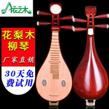 星海8412-2花梨木清水柳琴北京星海民族乐器花梨红木柳琴 依之木柳琴