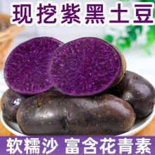 农大姐妹黑土豆 乌江芋 新鲜蔬菜紫色土豆马铃薯 黑金刚黑美人 （净重）5斤