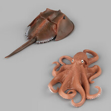 澄可 儿童仿真海洋动物模型八爪鱼海龟摆件乌龟仿真塑胶实心海底螃蟹寄居蟹中华鲎玩具生日六一礼物 中华鲎+八爪鱼