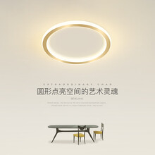 阳台led吸顶灯北欧简约现代圆形玄关过道走廊灯创意轻奢房间灯具 豪盛特 金色 25*6CM 三色光 22W