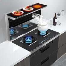 莱普（LaiPu）集成灶一体灶 侧吸抽油烟机灶具套装消毒柜嵌入式灶具【烟灶消】（天然气 液化气通用） 液化气烟灶消 E3