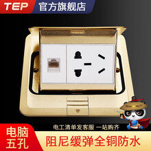 TEP国际电工 家用隐藏式地板插座暗装全铜防水阻尼电脑网络五孔地插座 五孔带电脑