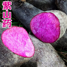 江西赣南紫山药新鲜净重4斤/8斤农家蔬菜现挖紫色大薯脚板薯淮山 4斤