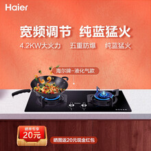 Haier海尔双眼炉具燃气灶家用节能4.2千瓦大火力猛火 液化气
