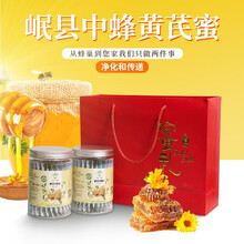 岷蜜 岷县中蜂黄芪蜜450g礼盒装 土蜂蜜绿色食品 地理标志产品 高原结晶成熟蜜 450克/罐