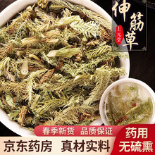 新鲜效期】伸筋草500g舒筋草大伸筋草牛尾菜中药材 可搭透骨草泡脚 非野生