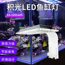 海水珊瑚灯 价格 图片 品牌 怎么样 京东商城 海水珊瑚灯 价格 图片 品牌 怎么样 京东商城