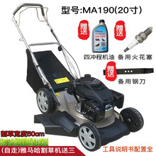 斯特克 GXV160本田动力20寸汽油草坪机四冲程割草机物业手推自走式大马力打草机剪草机除草机 (自走20寸)雅马哈（190动力）割草机送三