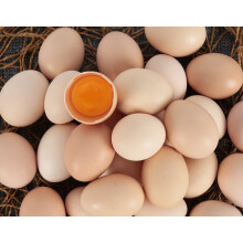 草鸡蛋 正宗农家土鸡蛋新鲜天然草鸡蛋柴鸡蛋农村笨鸡蛋鲜木 土鸡蛋 60枚