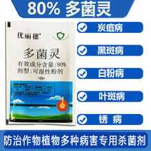 【高含量】80%多菌灵杀菌剂多菌菌灵多肉植物花卉药百菌清烂根腐霉菌除灭菌通用 10袋 20克/袋