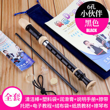 奇美竖笛高音德式学生6孔8孔 成人儿童初学者零基础六孔八孔竖笛 6孔黑色+使用说明书+擦琴布