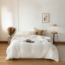 贵福爽 春秋被单双人被子被芯纯色简约酒店风羽丝绒棉花加厚保暖冬被 绵生地-白 春秋被200*230cm/4.2斤