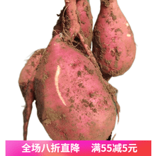 新鲜白心红薯农家番薯地瓜红薯山芋 9斤大薯