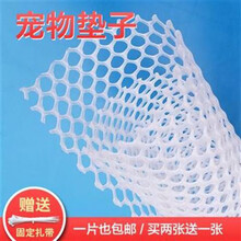 宠物脚垫狗笼垫宠物防逃网兔笼猫笼塑料网格脚垫荷兰猪垫子 35*25 1.7孔径拍2发3