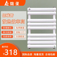 陇星 卫生间暖气片 钢制平板 卫浴散热器 暖气片家用水暖 白色 650*400
