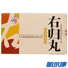 仲景 右归丸 9g*9袋\/盒 10盒装