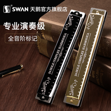 天鹅口琴24孔C调复音初学者乐器 黑色【全套赠品+视频教程】