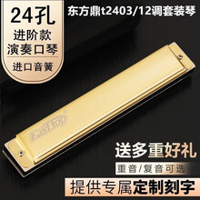 进口音簧 东方鼎24孔复音ABCDEFG12调口琴高级成人专业演奏舞台教学口琴乐器 金色重音C调