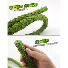 仿真造景藤条 易攀爬易造型可随意弯曲旋转 寄居蟹蜥蜴爬虫攀爬物 直径2cm  长度100cm