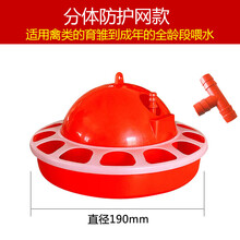 雏鸡自动饮水器鸡用喝水壶大小鸡苗饮水器鹌鹑饮水器雏鸡用喂水器 分体防护网款