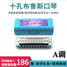 BoogieMan PADDY调音版 十孔布鲁斯蓝调口琴 学生成人初学10孔口琴 A调