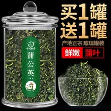 发2罐 蒲公英茶蒲公英根花茶婆婆丁茶叶共120克 中闽飘香