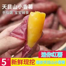 临安天目山小香薯5斤新鲜板栗红薯正宗板栗小番薯地瓜蜜山芋 红色 5斤装天目山小香薯