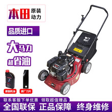 本田草坪机GXV160动力割草机自走式剪草机四冲程汽油除草机马发草坪修剪机 本田GXV160动力【钢底19寸】手推