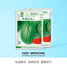 中科茂华瓜果种子早春红玉茂华小红玉中科金品红玉礼品西瓜种子小果型西瓜種子花皮红瓤单瓜3-4斤超甜高糖 早春红玉20粒/袋【试种装】