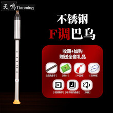 巴乌乐器竖吹g调f调小d调c调降b调a调儿童小学生成人初学者入门 不锈钢 F调