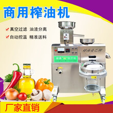芝麻香油机流动摆摊油坊螺旋花生炸油机中型小型商用全自动榨油机青鲨 单桶过滤加装送料机