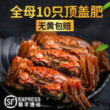 【活蟹】鲜木 盘锦河蟹鲜活母蟹10只顺丰稻田蟹毛蟹礼盒 具体规格看属性 下单预定 (2.4-2.7两)8只全母