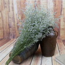 苏茂 天然情人草干花花束真花情人节干草家居摆设拍摄道具 diy花艺材料 情人草一束 干花包