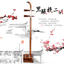 道韵二胡初学入门演奏二胡乐器成人儿童专业考级通用大音量二胡琴 【实木款】黑酸枝木高档演奏二胡 标准礼包+二胡独奏曲精选(续集)