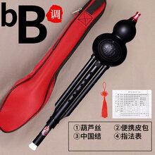 葫芦丝演奏型云南乐器树脂防摔成人小学生初学者c调降b 降b+便携皮包