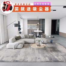 港龙地毯 北欧轻奢客厅沙发茶几毯简约现代卧室房间家用满铺大面积 LCD-02 1.6×2.3米；涤纶收缩纱+丙纶柔软纱