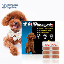 福来恩犬心保狗狗体内驱虫药泰迪比熊金毛驱蛔虫钩虫线虫心丝虫宠物除虫打虫药 小型犬11kg以下(整盒6粒）