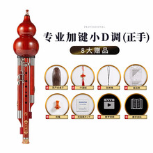 新艺乐器 加3键全红木葫芦丝乐 超九孔红木葫芦丝 演奏型成人学生9孔宽音域 【全红木小D调】正手加3键