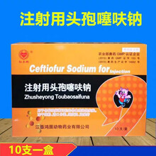 兽药头孢纯粉 注射用头孢噻呋钠 产后副猪嗜血杆菌粉针赛奥福 鸿图0.5g头孢噻呋钠