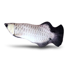 会跳动的鱼电动猫玩具自动逗猫摆尾鱼猫咪自嗨毛绒猫薄荷抱枕宠物用品 银龙鱼-30CM 均码