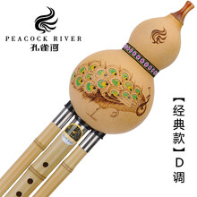 葫芦丝初学C调降B学生入门自学AGFD调金竹楠竹云南紫竹 【经典款】【国色天香】小D调+礼包