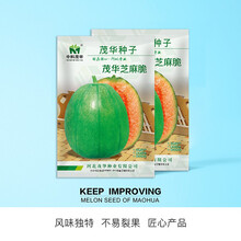 中科茂华 瓜果种子 茂华芝麻脆甜瓜种子绿皮红肉少籽 超甜爽口 口口酥香瓜种子榆林一口酥 风味独特 芝麻脆 甜瓜种子5克/袋