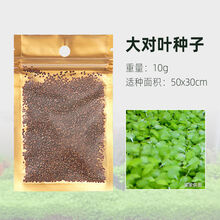 [京选推荐]鱼缸装饰速成水草种子迷你对叶牛毛爱情幸运心形草真植物造景装饰 大对叶种子 1包【适合30-40厘米缸】