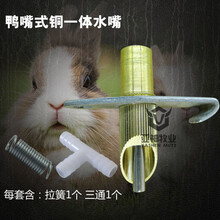 兔子饮水器兔用自动饮水器獭兔兔喝水器兔子养殖用品兔子用水嘴 鸭嘴铜一体款