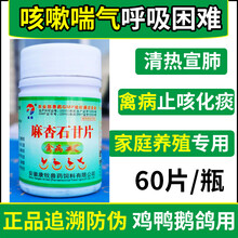 迅销 鸡药麻杏石甘片鸡鸭鹅鸽禽药片喘咳嗽喘气止咳化痰呼吸道困难肺炎胸膜炎气管炎兽用重症死不了5瓶价