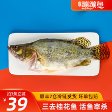 桂鱼 价格 图片 品牌 怎么样 京东商城