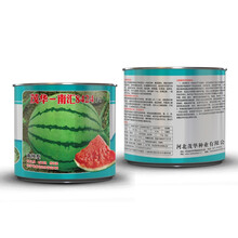 中科茂华瓜果水果种子南汇8424麒麟西瓜种子杂交一代薄皮粉红瓤皮色发白100克