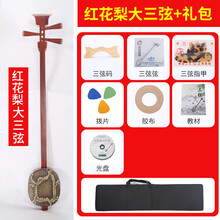 红木三弦乐器鸡翅酸枝黑檀大三弦紫檀专业评弹中三弦小三弦琴 红花梨大款【初学推荐】